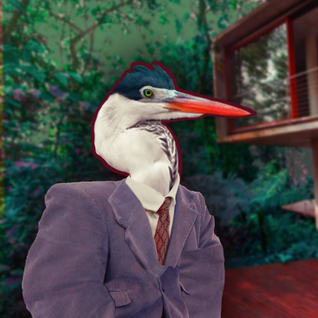 Foto de Paulo Marques