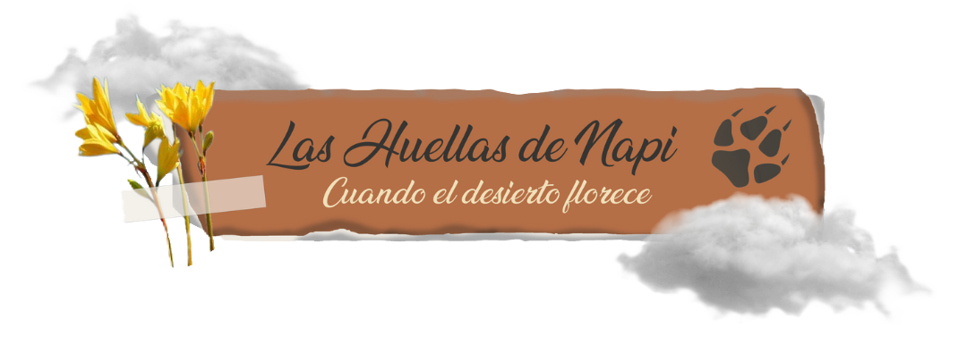 Las Huellas de Napi